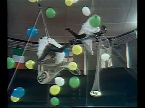 Jeux Sans Frontieres 1976 - Milan, Italy