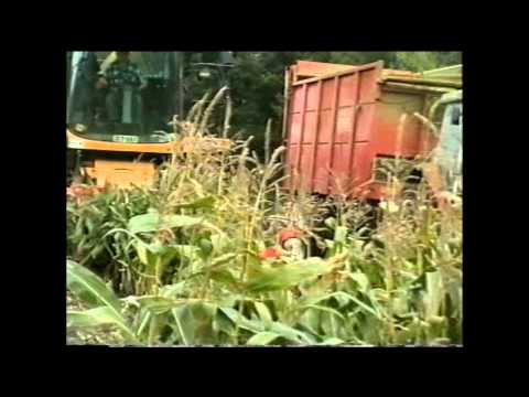 Loonw Lievens-Vervaele - Eernegem