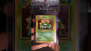 Pokemon Cards Collected Historical Value | My Pokemon Cards Collection