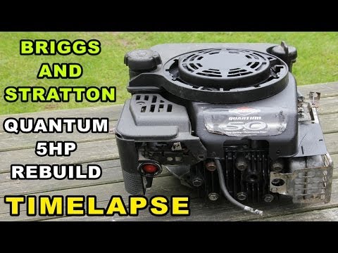 Briggs and Stratton Engine Rebuild | Quantum 5hp Small Engine Timelapse