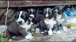 HELP!! Won't you please, please help me?