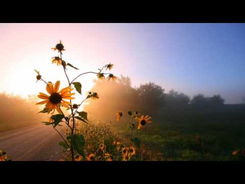 Luke Terry - Rocket Theory (Paul Miller's Memories Of Love Remix)