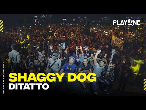 Shaggydog - Ditatto | playOne Radioshow