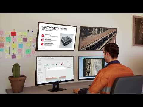 Loopless Rip Detection System