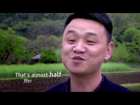 Transformando o deslocamento diário na China com bicicletas públicas