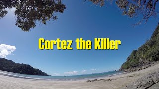 Cortez the Killer - written by Neil Young - #neilyoungcover  #cortezthekiller #neilyoung