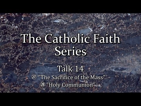 Talk #14