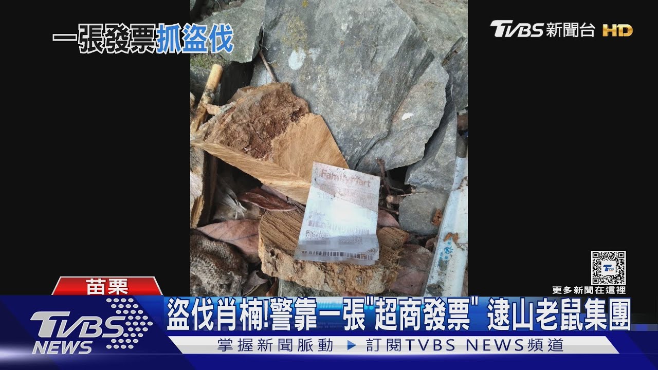 盜伐肖楠！　警靠一張「超商發票」　逮山老鼠集團