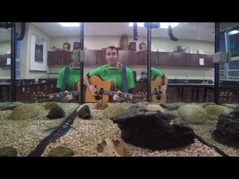 "Talking Shad and Eel Blues" by Van Wagner