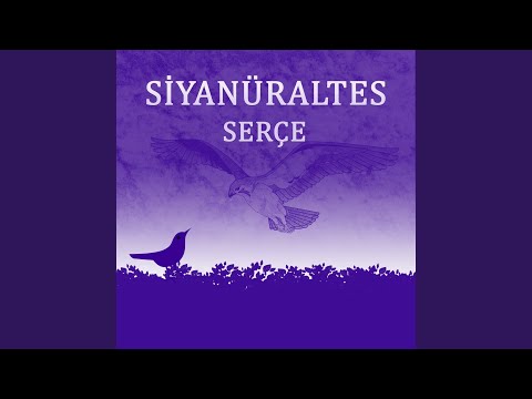 Dokunmam Farklı Tene 2