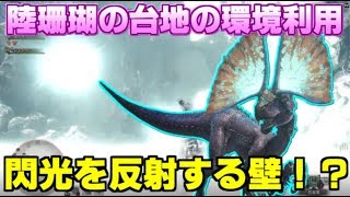 【MHW】知られざる陸珊瑚の環境利用！閃光を反射する壁を調査・検証してみた【モンハンワールド】