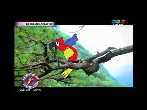 La Granja de Pachu (Clip oficial) HD / Peligro Sin Codificar