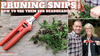 ✂🛠 How To Use Pruning Snips for Deadheading - SGD 207 🛠✂