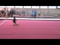 Спортивная гимнастика. Вольные упражнения 