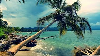 Best Of Reggae [Mix 2015] HD