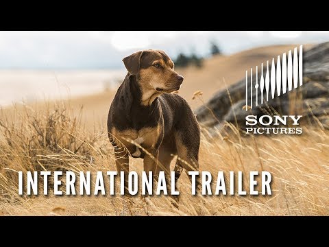 A DOG’S WAY HOME – International Trailer