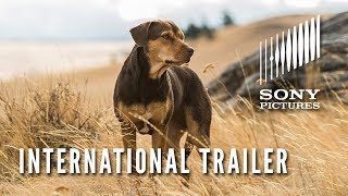A Dog's Way Home Film Trailer