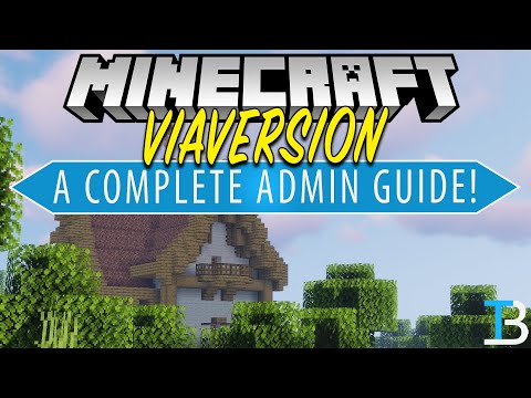 The Breakdown - How To Allow Any Minecraft Version to Join Your Server (A Complete Guide to ViaVersion!)