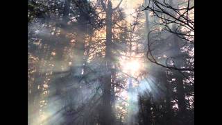 The KVB - White Walls