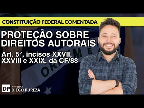 Copyright Protection (art. 5, XXVII, XXVIII and XXIX, of the CF/88)