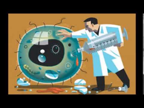 Pupajim StandHigh 2005 collector