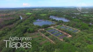 Hacienda La Pacífica - Cañas Guanacaste