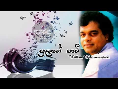 Sulage Pawee | Milton Mallawarachchi