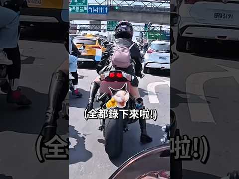 一樣尷尬過的舉手😂【鵝鵝秀SHORTS】#鵝鵝 #motorcycle #bikergirl #motorgirl #shorts