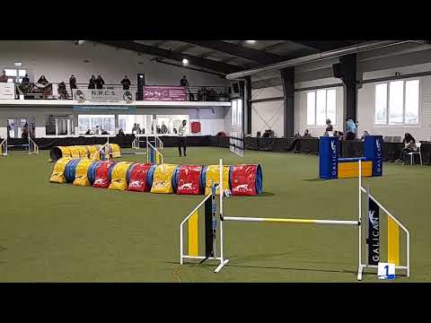 DogFlow Open 2022  /open jumping on Daniel Walz's course/