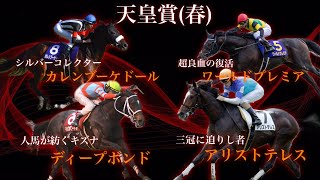 天皇賞春、勝つ