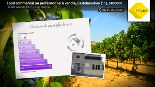 preview picture of video 'Local commercial ou professionnel à vendre, Castelnaudary (11), 340000€'