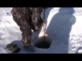 Афоня на рыбалке. Река Колыма. 