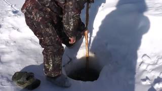 Ссылка