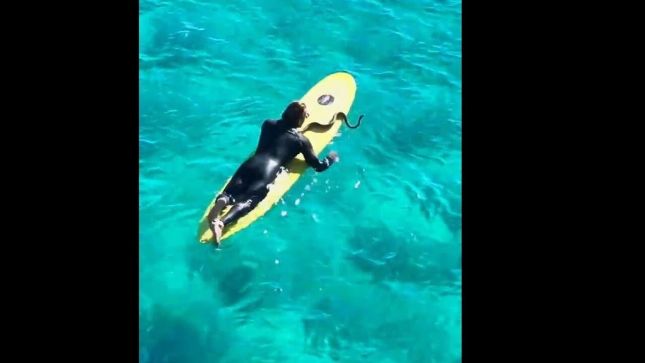 YouTube video