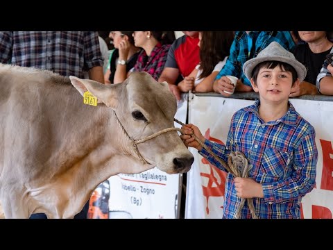 Dossena, la fiera zootecnica 2023