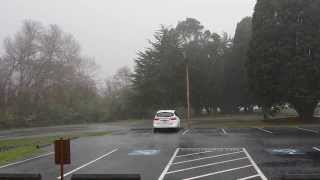 preview picture of video 'Wind and Rain NWS Office Eureka, CA 2/15/14 @ 4:40 pm'