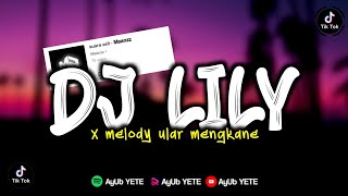 Download lagu DJ LILY ALAN WALKER X SAMPAI BAWAH VIRAL TIKTOK MAANZZ MENGKANE mp3 Download lagu DJ LILY ALAN WALKER X SAMPAI BAWAH VIRAL TIKTOK MAANZZ MENGKANE mp3