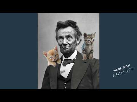 ABRAHAM LINCOLN LOVED CATS -THANK GOD FOR CATS BOOK REVIEW