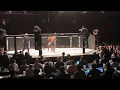 UFC 218 - Francis Ngannou vs. Alistair Overeem - Knockout