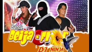 Banda Beija Flor e Dj Ninja - Não desligue o telefone (2009)