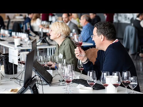 Decanter World Wine Awards 2023 Official Video