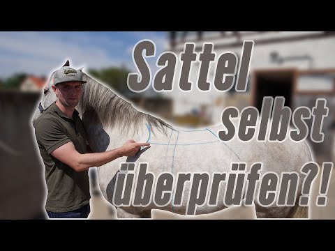 So kannst auch du deinen Sattel überprüfen! | Reitsport-Rheinmain