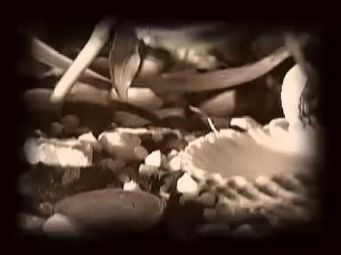 ZPTU - Nasz Rap / Ile w tym prawdy !?