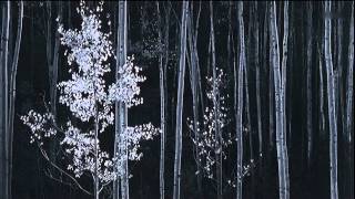 Ansel Adams A Documentary Film HDTV 720p Legendado PT BR