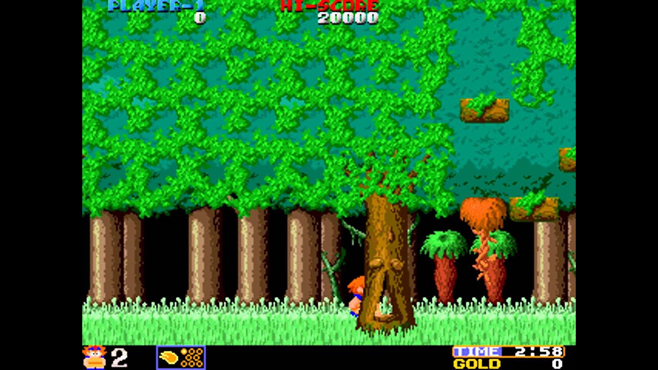 Wardner (World) [MAME] [shortplay]