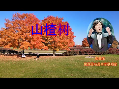 歌曲：山楂树；（带歌词）演唱：廖昌永；作词：姆&bull;比里宾柯；作曲：叶&bull;罗德庚； 俄罗斯经典歌曲 金曲世界 @channelofbeautifulsongs
