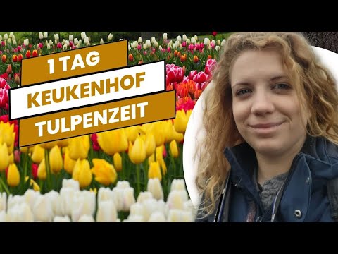 KEUKENHOF | Frühling in Holland