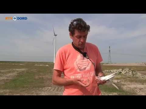 Noordse stern Eemshaven