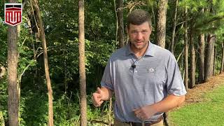 DEF Level Sensor Cleaning Tips