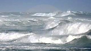 Franklin Walden - You Lose Again